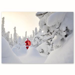 SDE-1432 | PERE NOËL BLANC