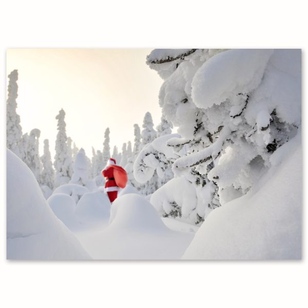 SDE-1432 | PERE NOËL BLANC