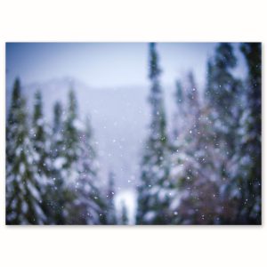 SDE-1434 | JARDINS