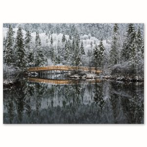 SDE-1436 | MARAIS