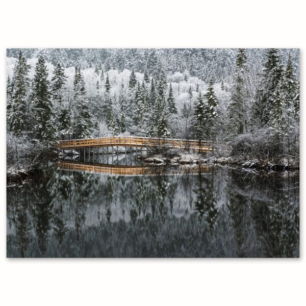 SDE-1436 | MARAIS