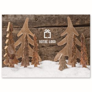 EDV-1293 | ENTRE SAPINS