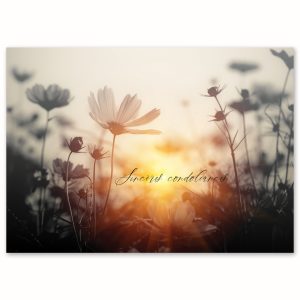 EDV-1401 | LUEUR