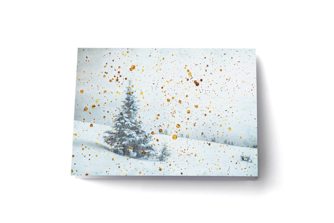 Cartes de Noël – Coup de cœur 2024