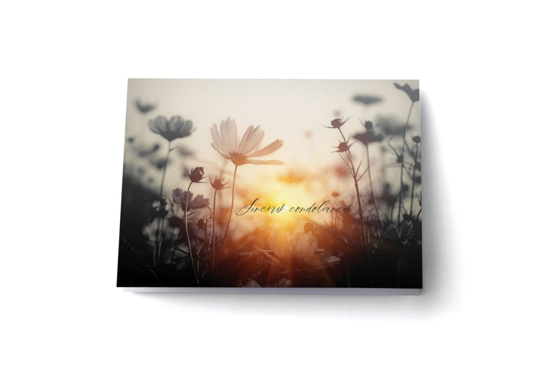 Cartes de souhaits – Sympathies