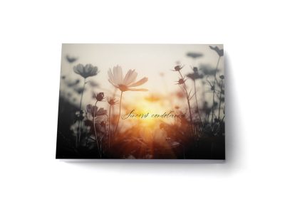Cartes de souhaits – Sympathies