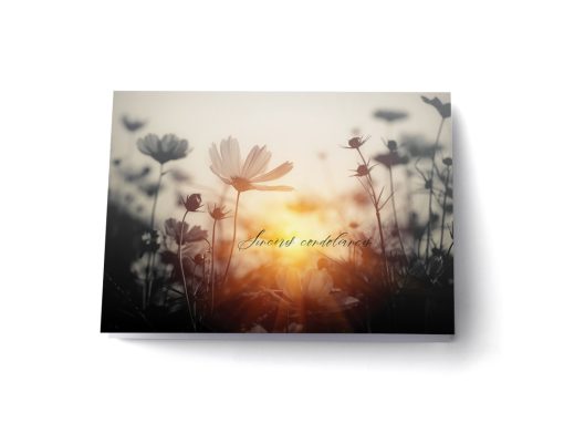 Cartes de souhaits – Sympathies