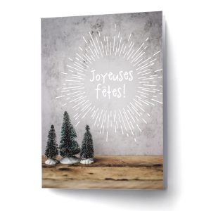 EDV-831 | DES FÊTES RADIEUSES