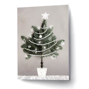 EDV-890 | ESQUISSE DES FÊTES